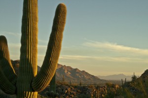 Desert Image 2